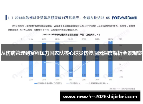 从伤病管理到赛程压力国家队核心球员伤停原因深度解析全景观察